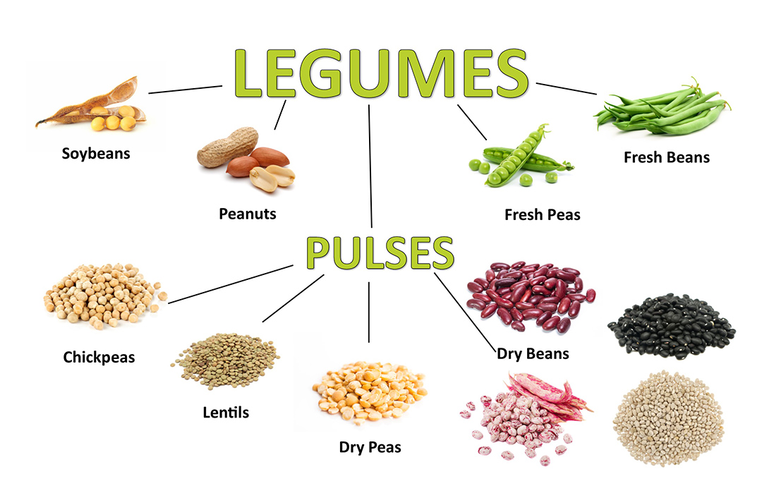  Legumes_Beans, lentils, and peas